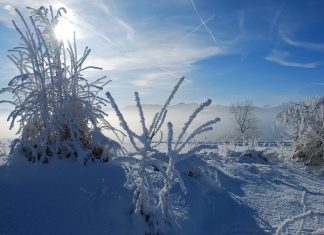 Kenali Gejala Frostbite, Wujudkan Kesehatan Dimanapun Berada kenali gejala frostbite