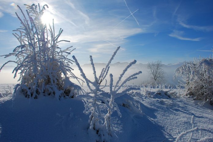 kenali gejala frostbite