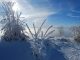 kenali gejala frostbite