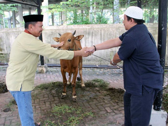 kenapa-hewan-kurban-harus-jantan-1 kenapa hewan kurban harus jantan