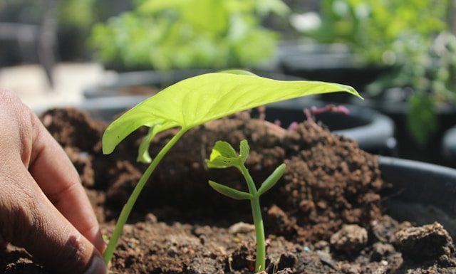 kewajiban muslim menjaga kelestarian alam