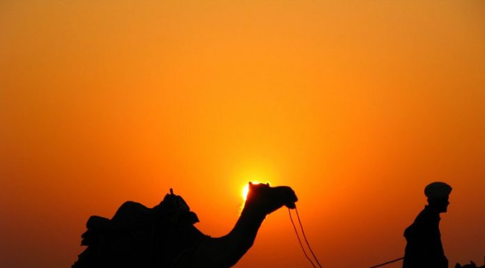 kisah pembunuh 100 orang