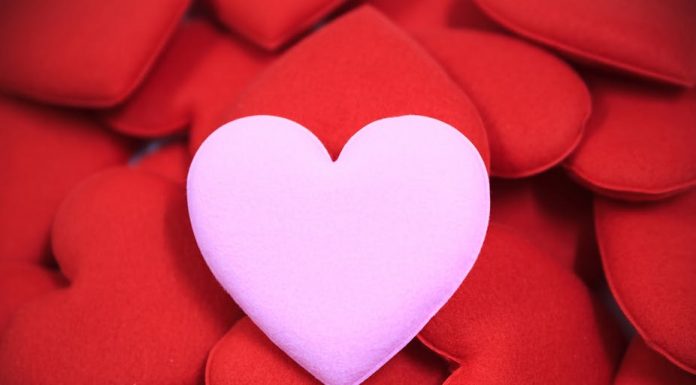 Love Divorce and Marriage, Jangan Sampai Salah Fokus Love Divorce and Marriage