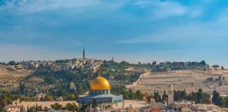 massa pro Palestina