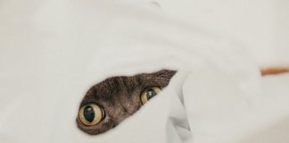 membuka rahasia orang lain