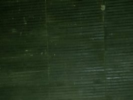 meneladani rasa malu rasulullah SAW