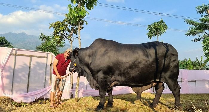 nilai pendidikan dalam ibadah kurban