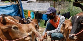 nilai pendidikan dalam ibadah kurban