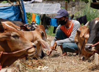 nilai pendidikan dalam ibadah kurban