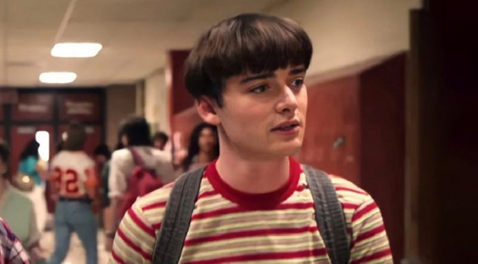 Noah Schnapp gay
