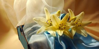 pakaian penduduk surga