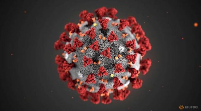 Pembuat Virus Corona, Siapa Sebenarnya? pembuat virus corona