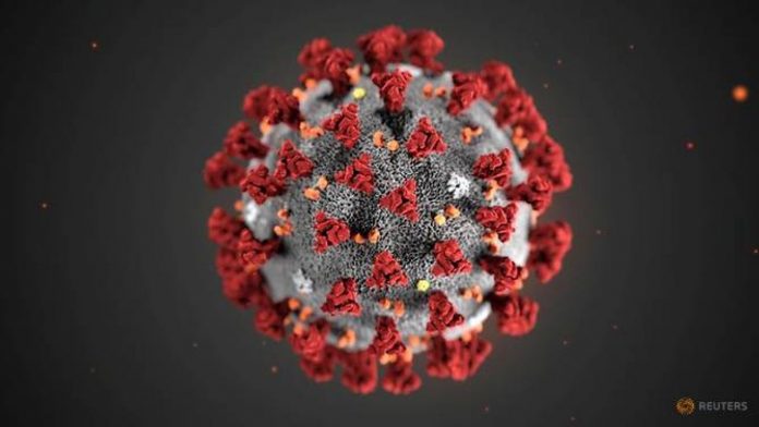 pembuat virus corona