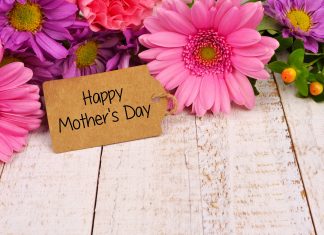 Peringatan Hari Ibu, Momentum untuk Kembali Berbakti Pada Ibu peringatan hari ibu