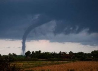 Puting Beliung Sidoarjo Tumbangkan Belasan Pohon, Ini Tanggapan Islam puting beliung Sidoarjo