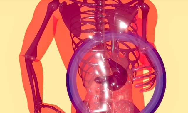 qiyas dalam fatwa transplantasi organ