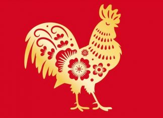 ramalan shio ayam