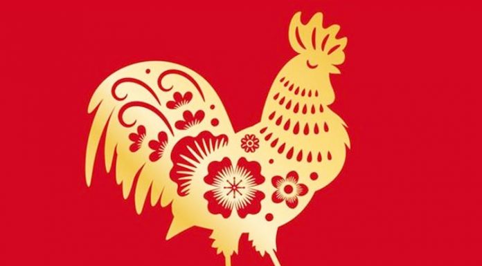 ramalan shio ayam