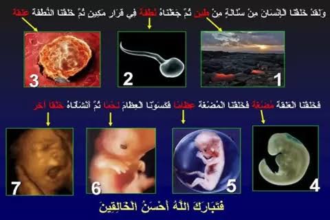 Sains Dalam Al-Qur'an