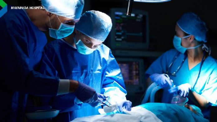 sinopsis 200 Pounds Beauty