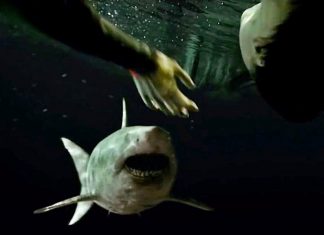 sinopsis 47 Meters Down