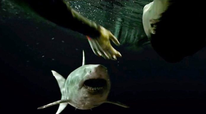 sinopsis 47 Meters Down