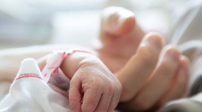 status anak hasil zina