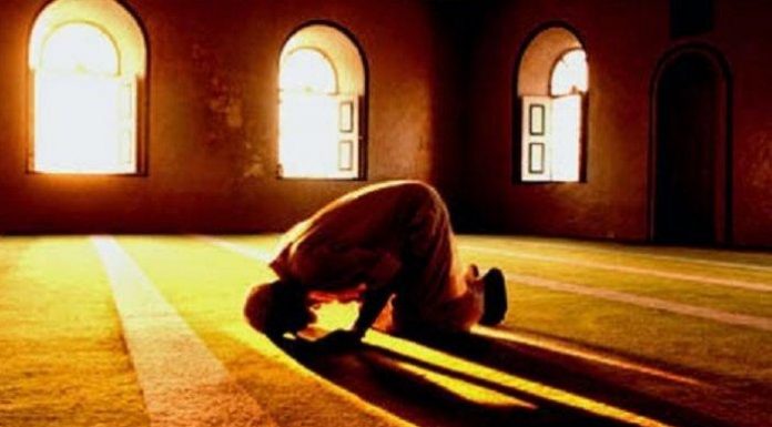 Sujud tilawah adalah