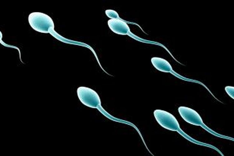 tes sperma puasa berapa hari
