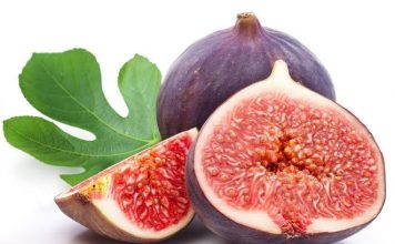 Tin Buah dari Surga
