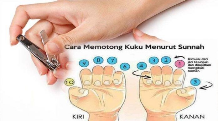 urutan potong kuku menurut islam