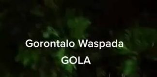 Video Viral! 21 Desember Warga Gorontalo Tidak Boleh Keluar Rumah, Kenapa? video viral