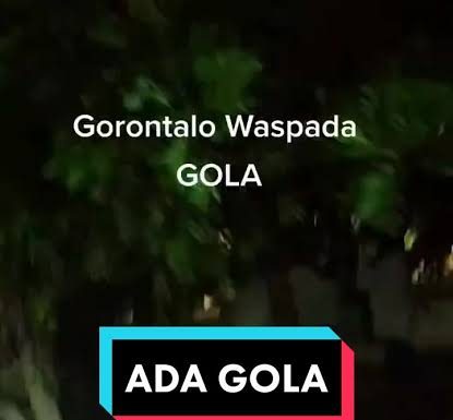 video viral