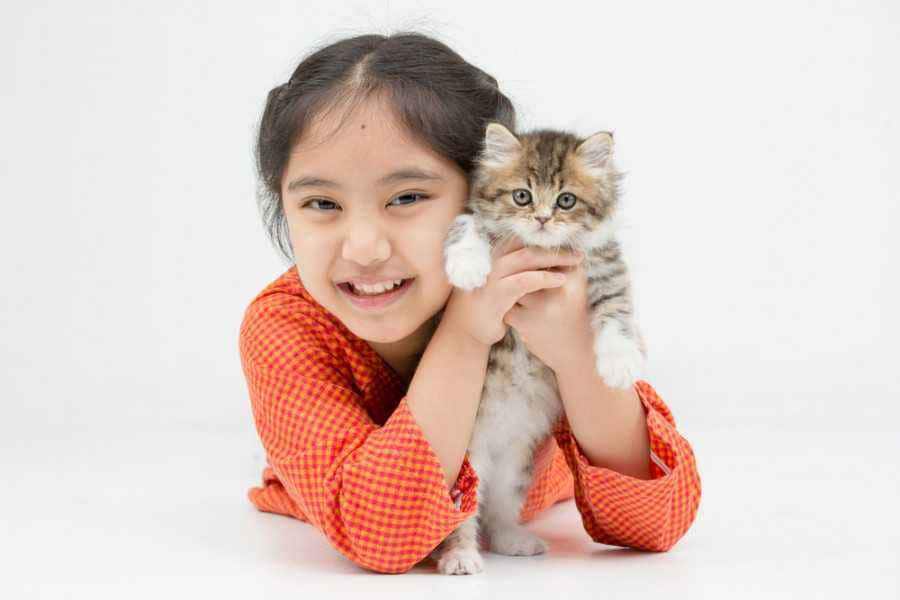 video penyiksaan monyet