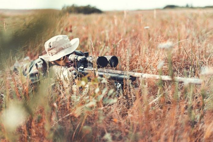 video penyiksaan monyet